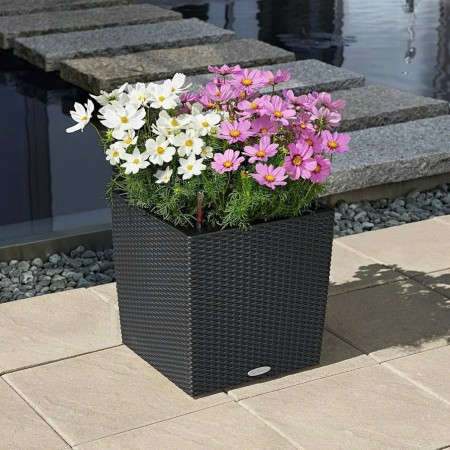 Chậu Trồng Cây : Hình Vuông Bằng Mây Đan - 40 x 40cm 